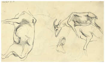 Visualizza l'immagine "FD D 1919 v."